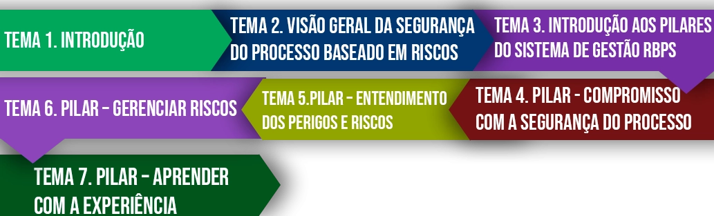 Cursos: Curso de RBPS (Risk Based Process Safety)